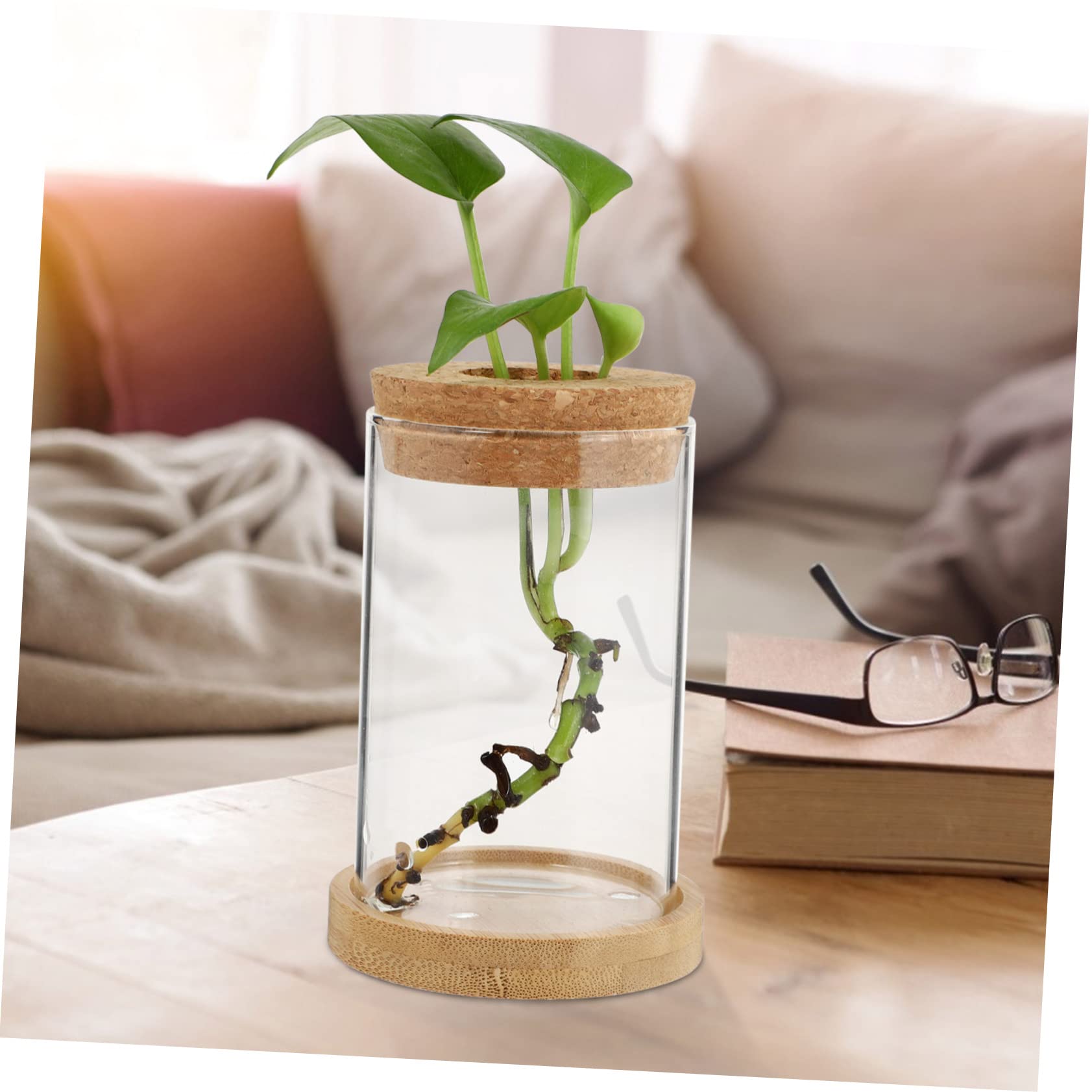 TOPBATHY 3 Ensembles Bouteille Éco Terrarium Végétal Propagé Vases pour Centres De Table Terre Cuite Décoration De La Maison Tuyau Bureau De Pots De Fleurs en Bois Transparent 2 Pièces * 3