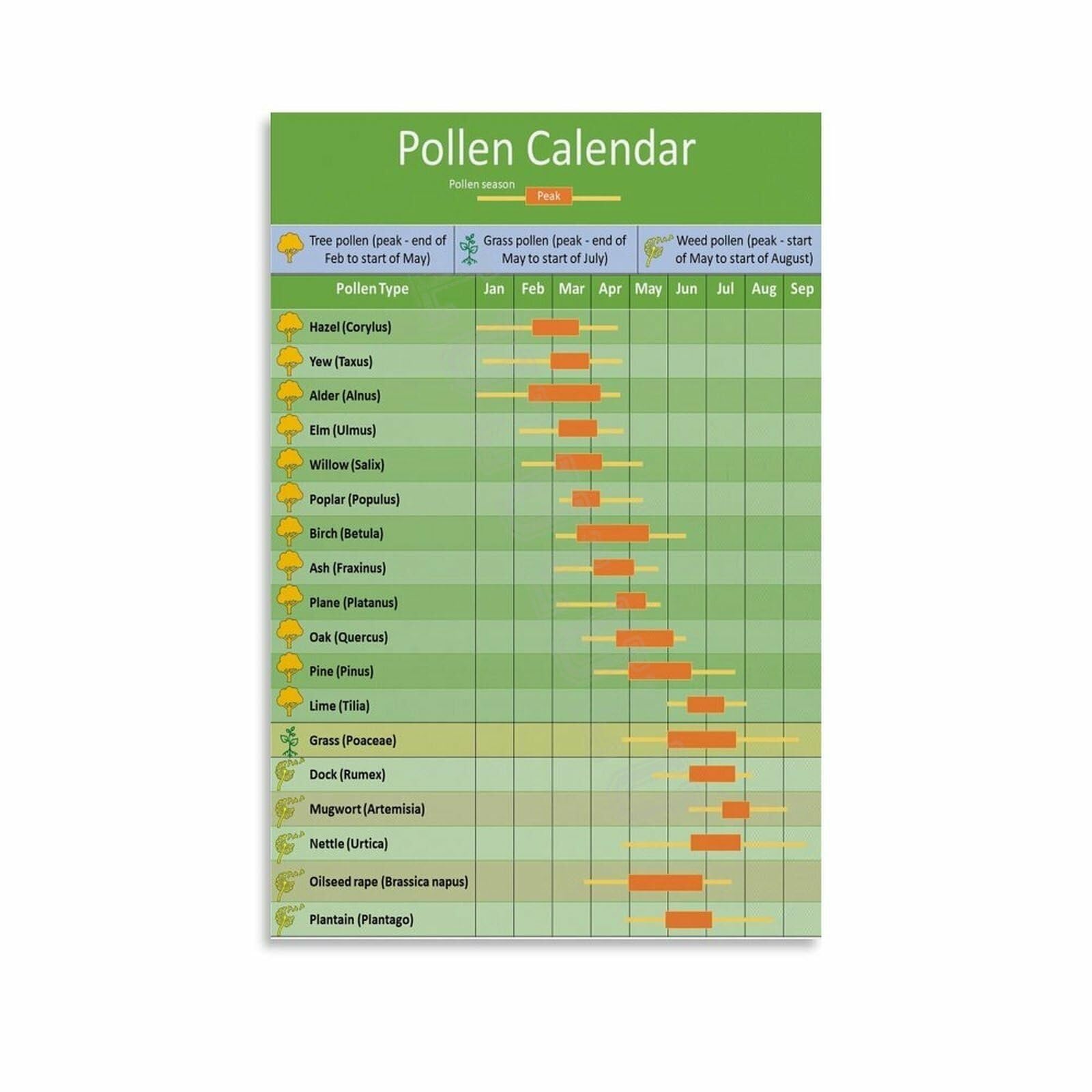KCDFDVJFBM Seasonal Pollen Allergy Reference Chart Poster Informative Canvas Wall-Art for Home Office School(Unframed,12x18inch(30x45cm))