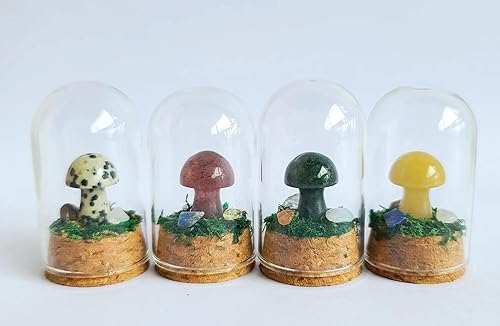 Mini terrarios de cristal natural con forma de hongo y cúpula, cubierta de cúpula hecha a mano, piedra curativa, regalo para decoración del hogar, 4 disponible en Yaxa Colombia