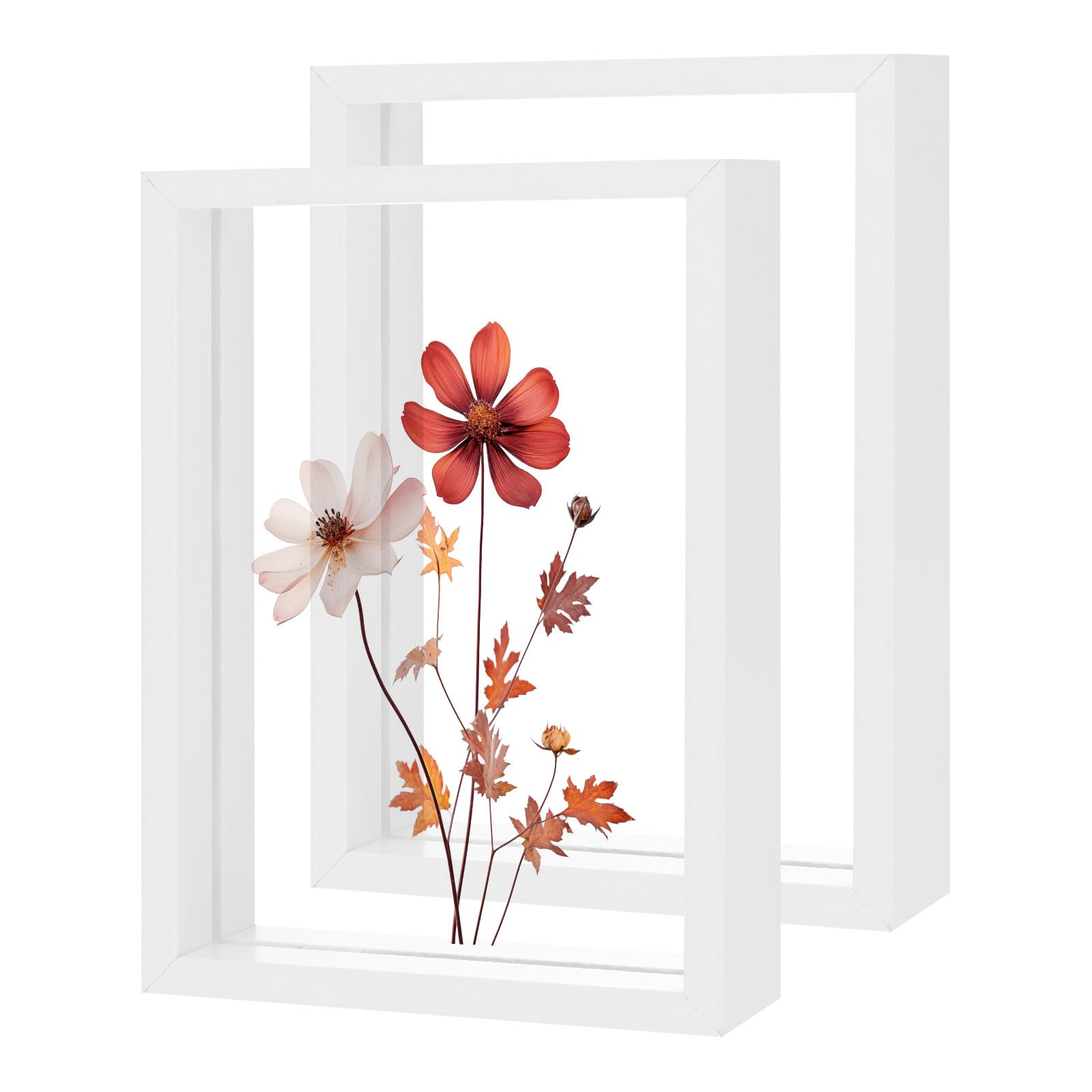 M METERXITY 2-Pack Wooden Pressed Flower Frame, 5 x 7 Inch Double Acrylic Floating Picture Frame for Dried Flowers/Tabletop/DIY/Handicrafts [White]