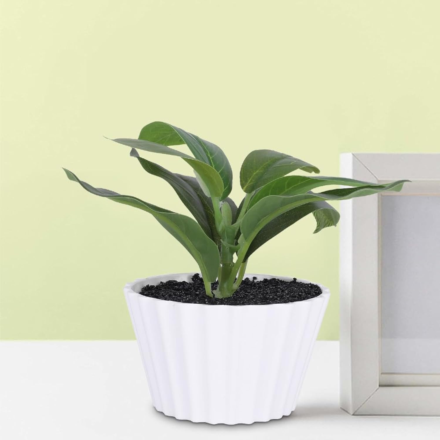 Kuber Industries Flower Pots - 12 Pack -19