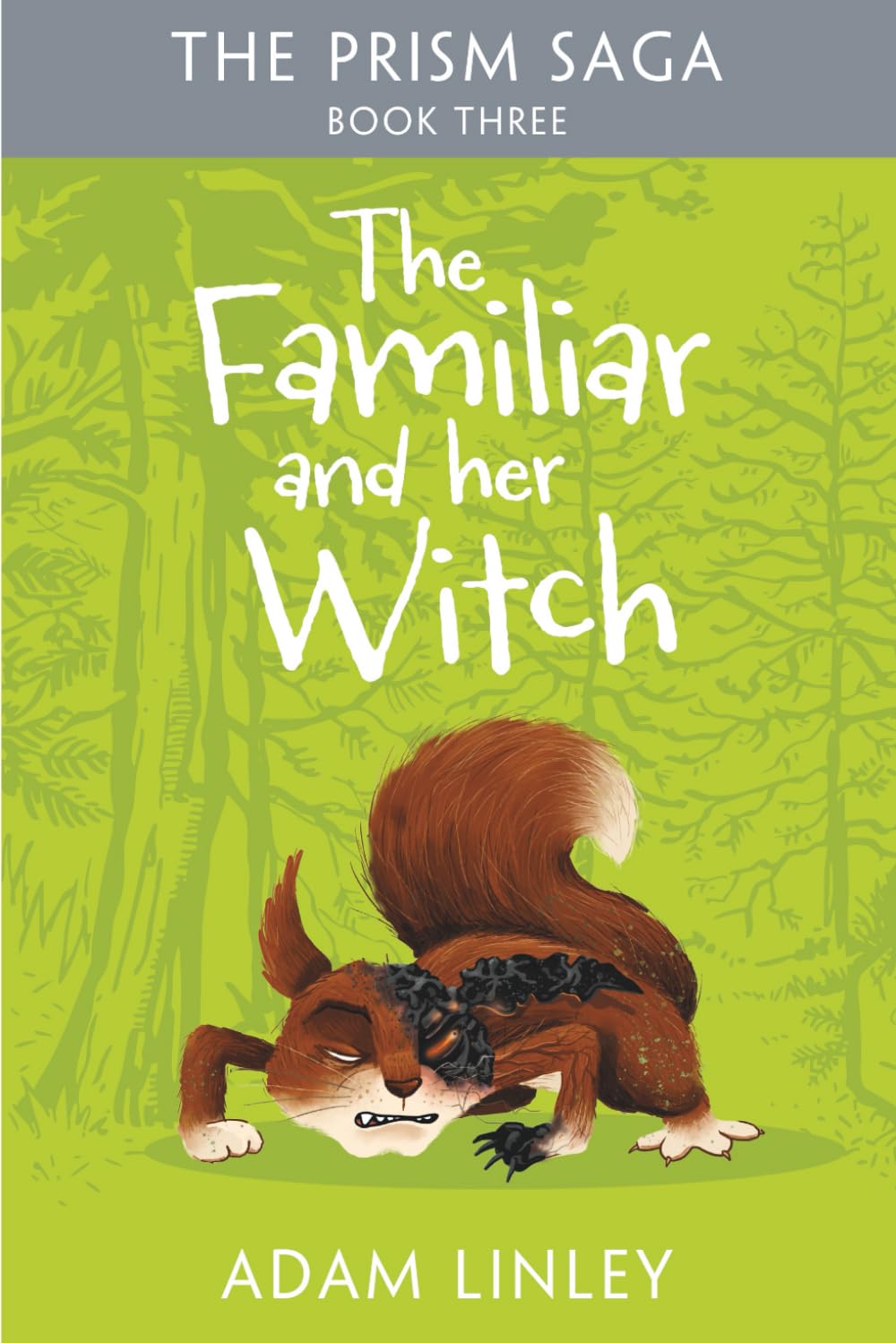 The Familiar And Her Witch: The Prism Saga Book Three