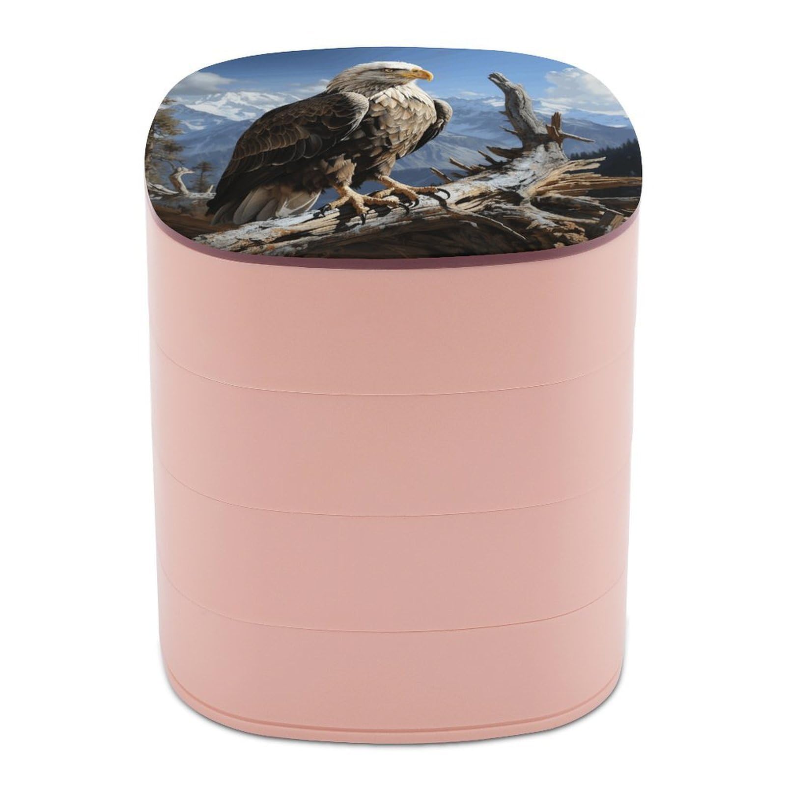 VstaDank A Lone Eagle Jewelry Box with Mirror Travel Small Jewelry Case for Women 4-Layer Rotatable Jewelry Organizer Storage Box Portable Jewelry Storage Case for Rings Earrings