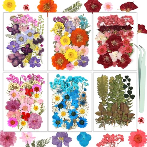 Image of Dried Flowers, Resiners 174Pcs Pressed Flowers for Craft Colorful Real Natural Dried Flowers Dry Leaves Kit for DIY Making Crafts Resin Soap Candle Scrapbook Supplies Card Making Jewelry