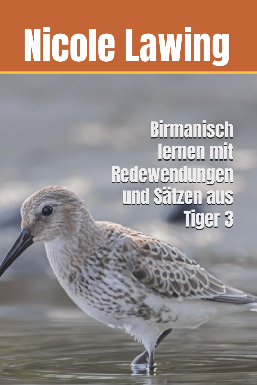 Birmanisch lernen mit Redewendungen und Sätzen aus Tiger 3