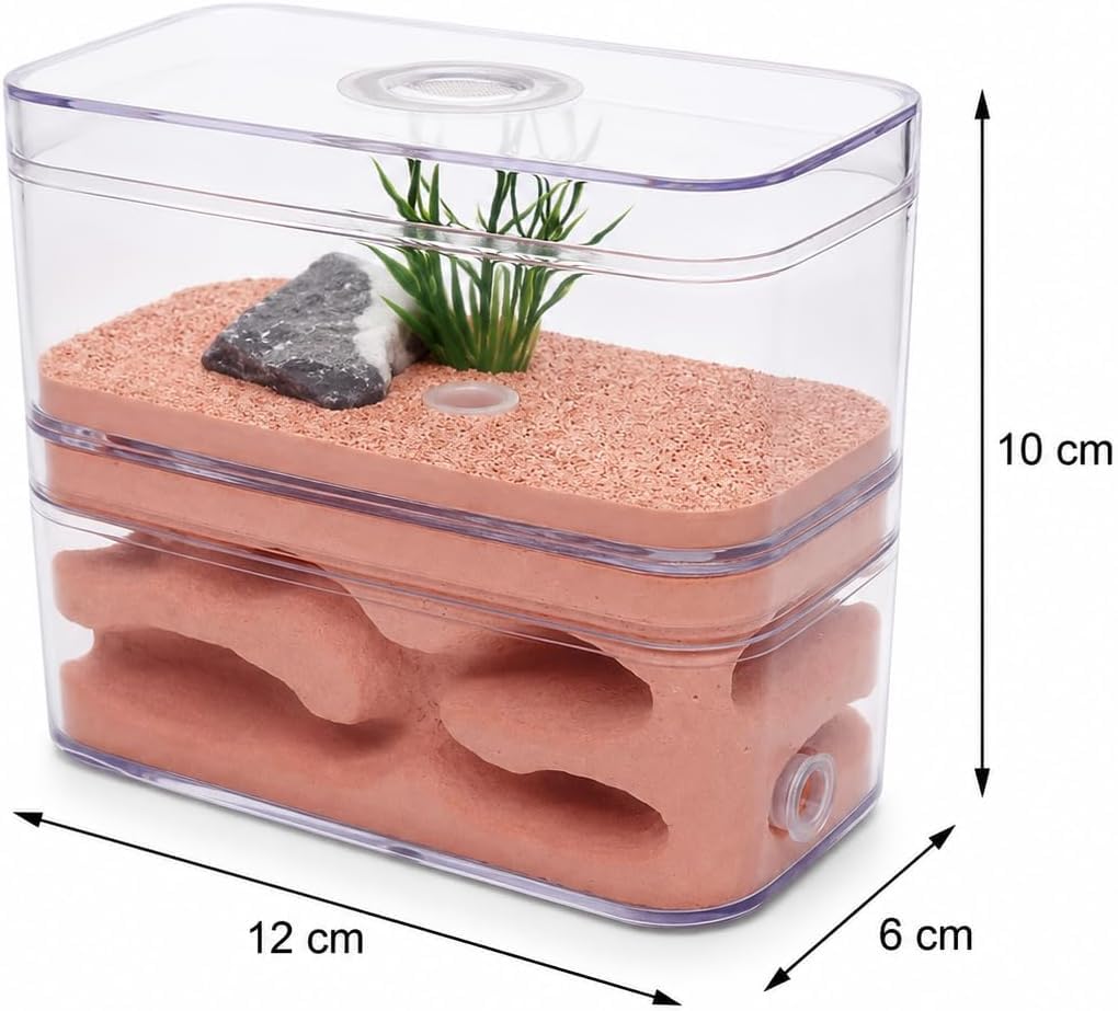 Ant Farm Castle Plaster Ant Terrarium Dom dla łatwej obserwacji i oglądania kolonii mrówek