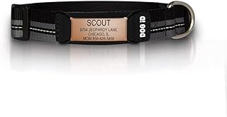 The Rock Solid Collar ID (Rose Gold Black, Small)