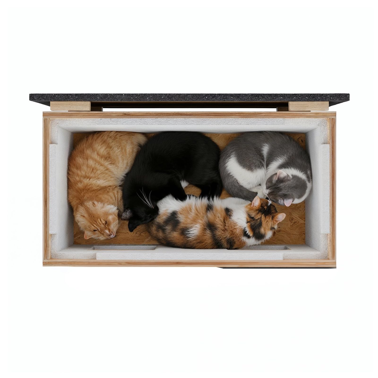QLS Casetta per gatti XXL, 85 x 45 x 37,5 cm, resistente alle intemperie e isolata con tenda protettiva, tetto apribile e fondo OSB, per fino a 4 gatti all'aperto (bianco)