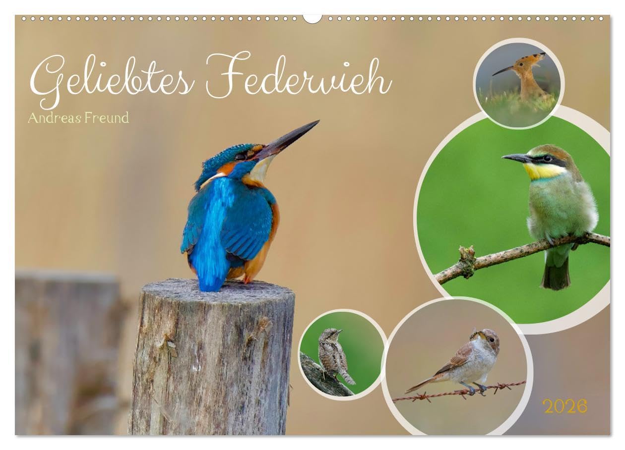Geliebtes Federvieh (Wandkalender 2026 DIN A2 quer), CALVENDO Monatskalender: Eine Sammlung von Vogel-Fotografien, unterschiedlicher Arten und Familien. (CALVENDO Tiere)