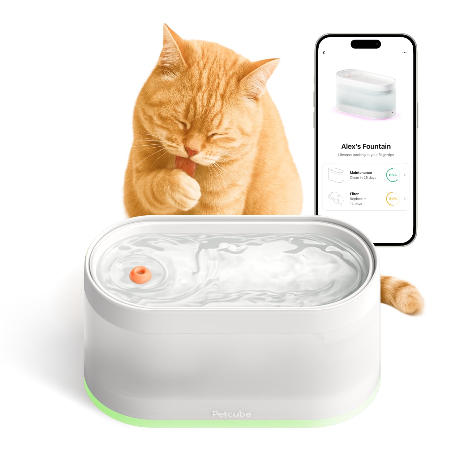 Photo 1 of Petcube Pet Water Fountain | Automatic Wireless Water Fountain for Cats and Dogs with Ceramic Bowl, Easy to Clean, 4-Layer Filtration, in-App Filter Control, LED Light, Quiet Pump, Battery Operated