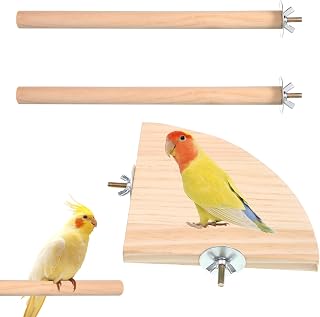 QfwdfcTrenz Bird Perches for Cage, 3PCS Bird Platform Parrot Perchs Stand | Wooden Parrot Perches Toys Wood Perches Bird Cage Toys Cage Accessories for Macaws Small Parakeets Conures Budgies Finches