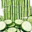 Cucumber Bamboo