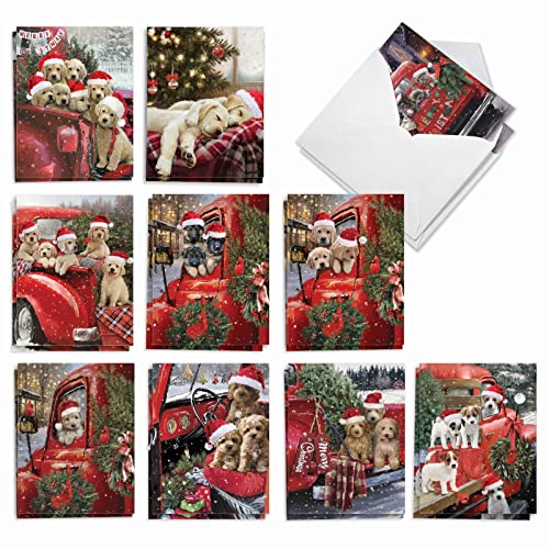 The Best Card Company - Variety Pack of 20 Christmas Greeting Cards with Envelopes, Humor Holiday Assortment for Men and Women (10 Designs, 2 Each) - Red Truck Puppies AM3375XSG-B2x10