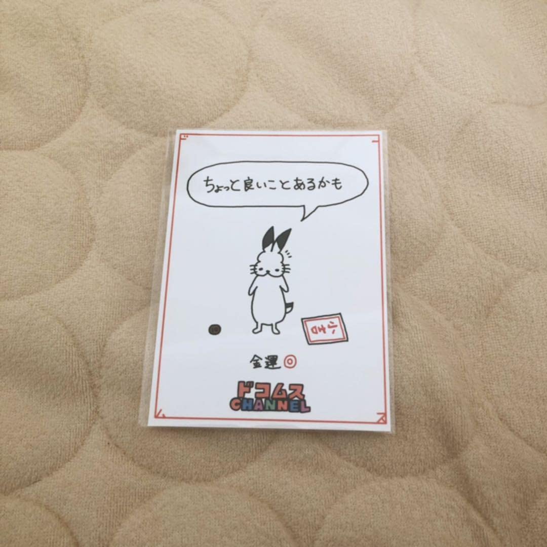 Amazon.co.jp: ドコムスおみくじブロマイドL版 小吉 ドコムス 