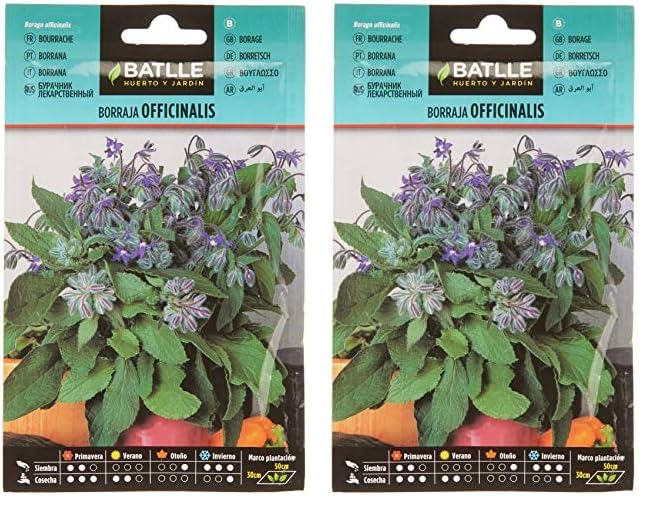 Batlle, Borraja officinalis (Paquete de 2)