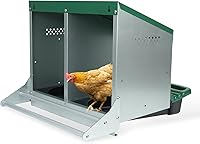 Filterhualv 2-Hole Roll-Away Chicken Nesting Box: Heavy Duty Metal with Egg Tray & Roost Pole - Green Coop Essential