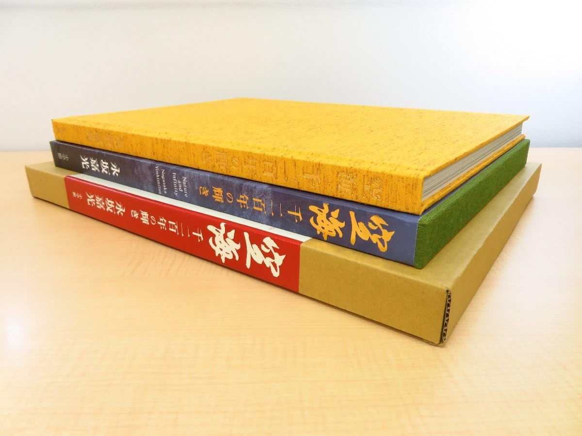 Amazon.co.jp: 永坂嘉光『空海 千二百年の輝き』2014年 刊 弘法大師 