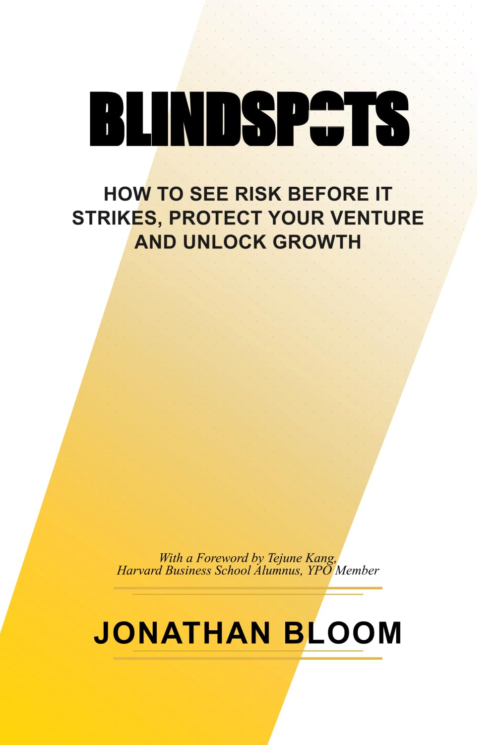 Blindspots: How to See Risk Before It Strikes, Protect Your Venture and Unlock Growth