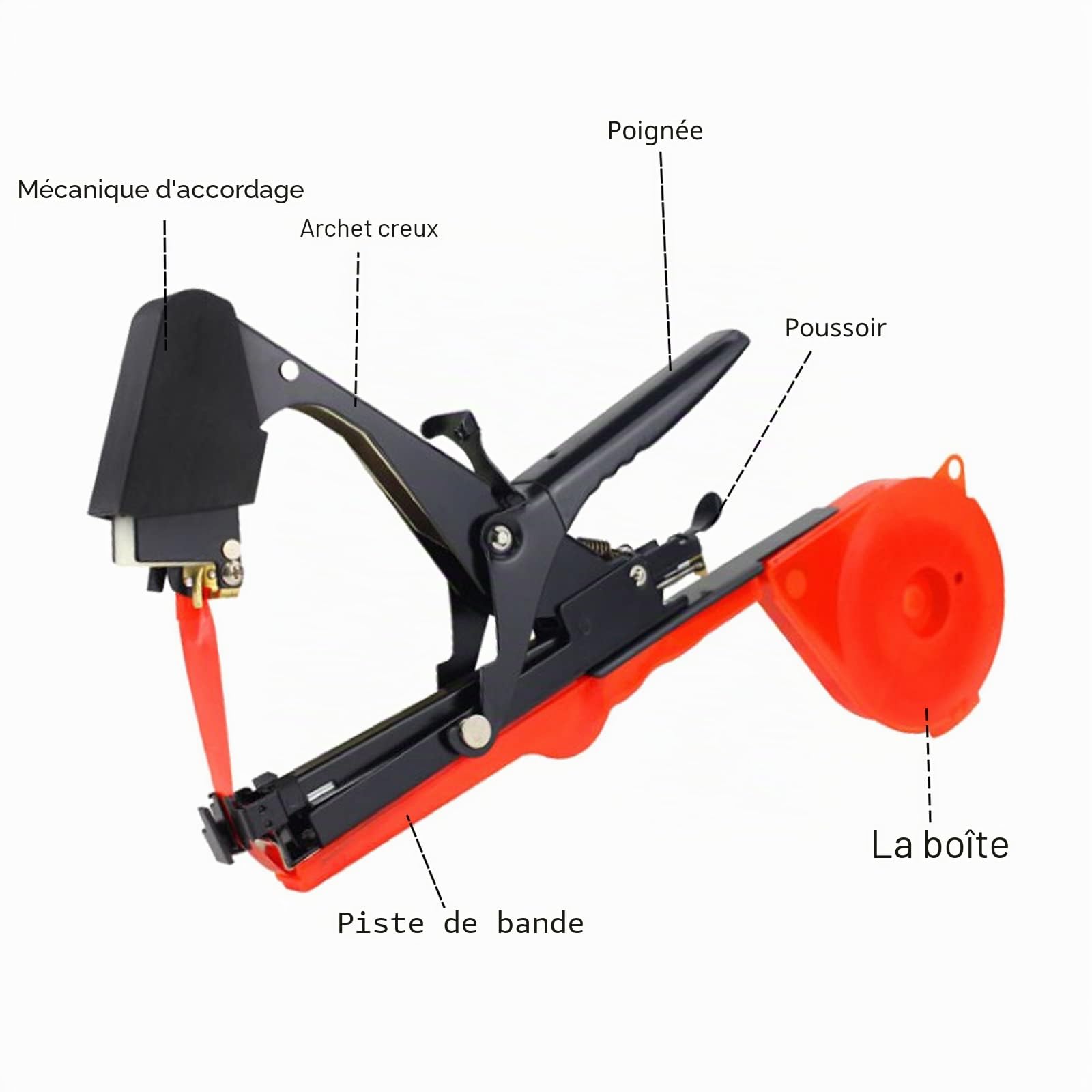 Pince à lier, pour plantes, avec 20 rouleaux de ruban et 1 boîte d'agrafes, outil de jardinage pour vignes, tomates, aubergine, fleurs(noir)