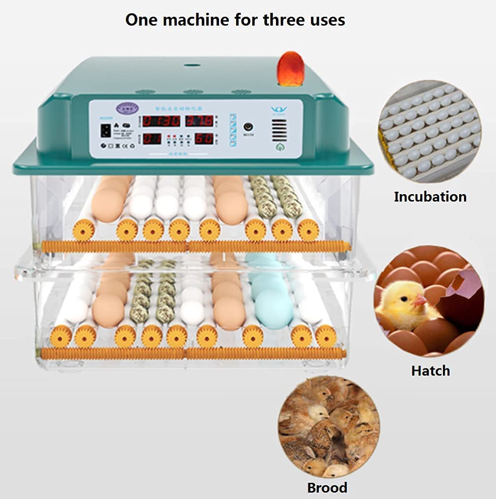 Incubadora automática de huevos con control de temperatura y humedad para pollos, pavos y codornices