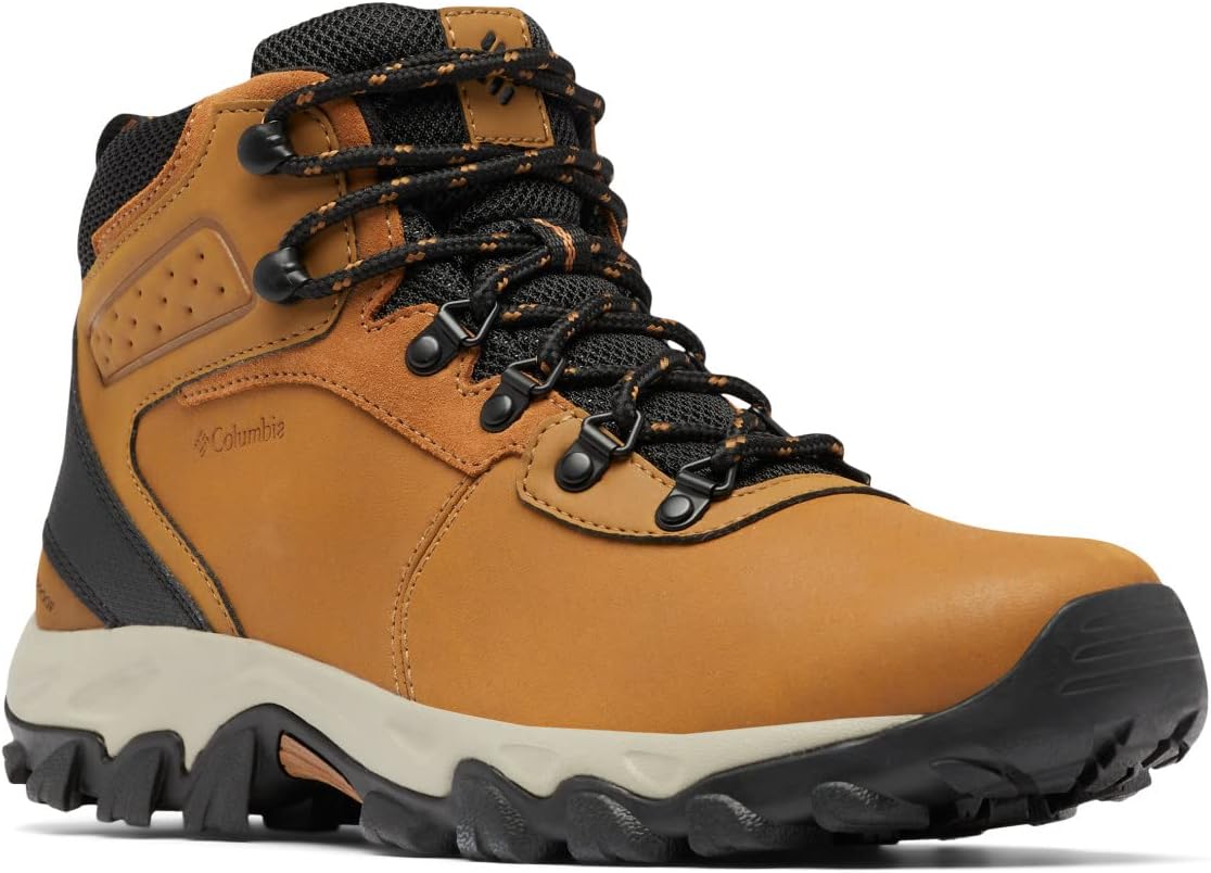 acg hiking shoe