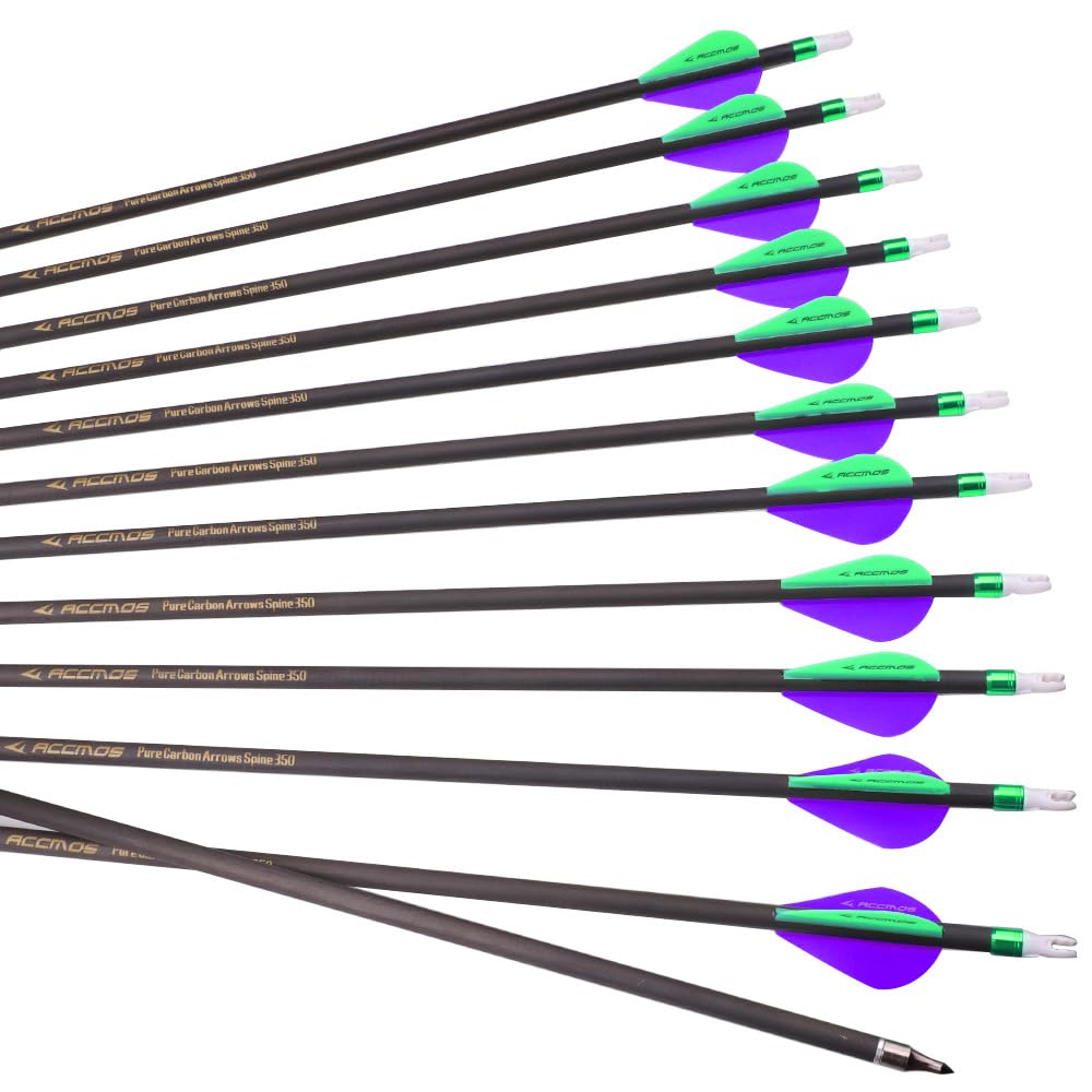Flèches en Carbone 300-800 Spine Pointe Amovible 2" Plume Plastique pour Arc Recurve Arc à Poulies Tir à l’Arc