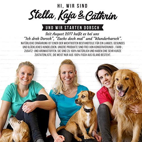 Tales & Tails® - Nassfutter für Hunde aus 100% isländischer Forelle | Getreidefreies Hundefutter, Natürlich, Nährstoffreich, Zuckerfrei | Hundenassfutter „’Ne schnelle Forelle“ | 8X 100g