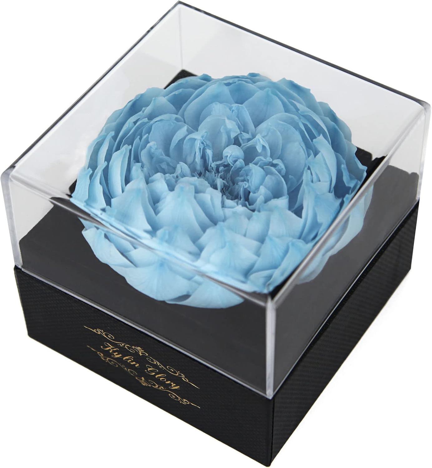 Fresh Cut Flower Preserved Peony for Women Mom Wife Girlfriend - Flower Gift Real Peony Decor for Mother's Day Valentine's Day Wedding Party Celebration Birthday Anniversary (Cherry Pink)