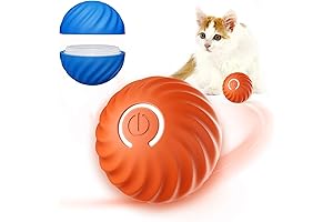 Wloom Cat Ball 2.0: The Purrfect Playtime Companion for Your Feline Friend