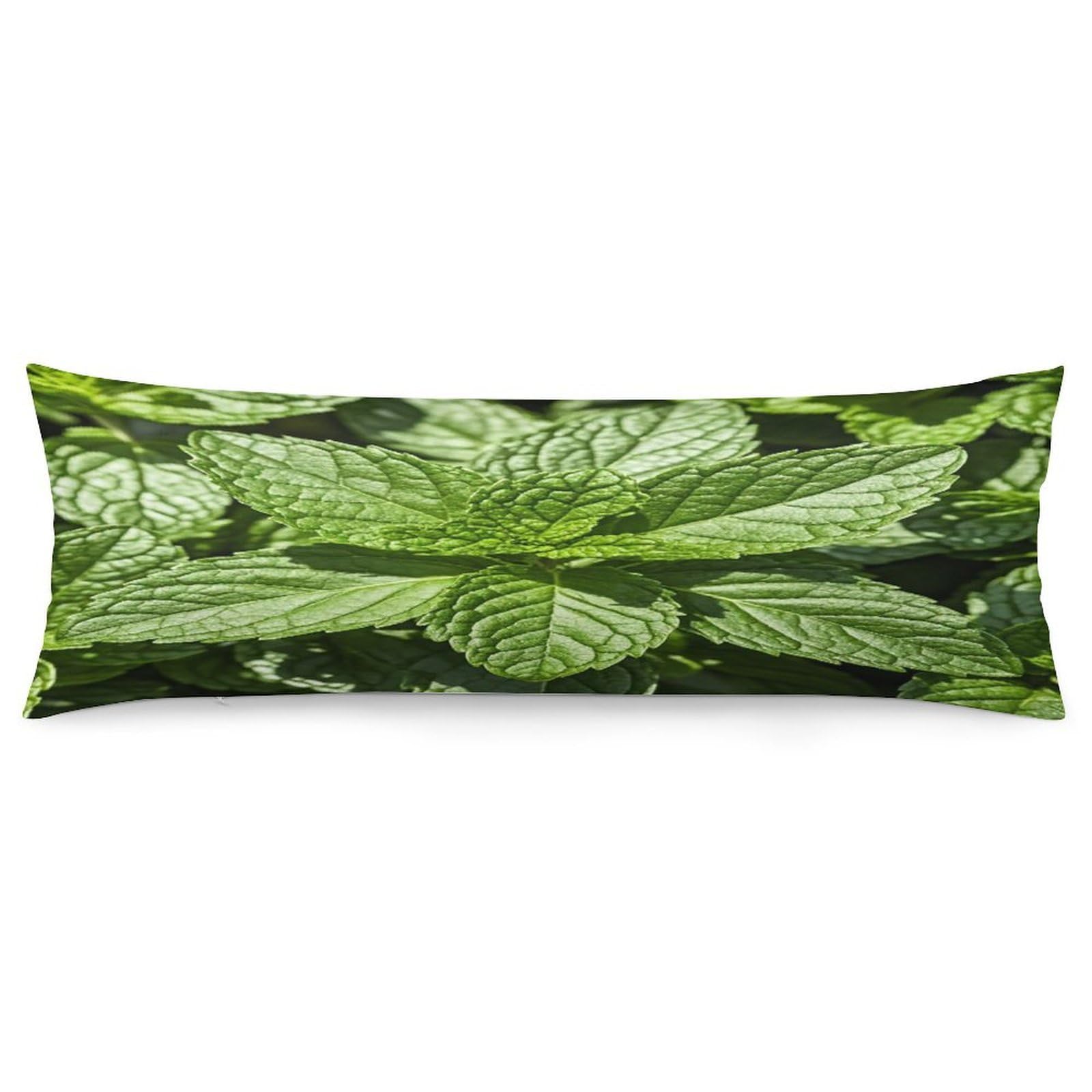 Peppermint Body Pillow Cover Long Body Pillow Pillowcase with Hidden Zipper Ultra Soft Polyester Pillow Cases Breathable & Silky Long Pillows Case Cover 19x53 in
