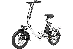 NEPHELE 16" Dalwi Electric Bike