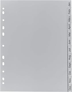 Exacompta 1812B Recycling Kunststoff-Register 12 Blatt mit bedruckten Taben Januar-Dezember für DIN A4 volle Höhe Plastikregister für die ideale Ablage von Dokumenten Blauer Engel grau
