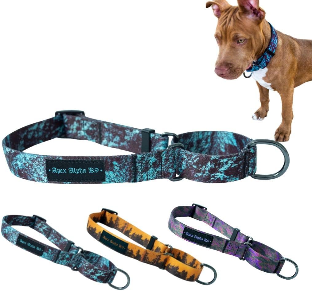 Apex Alpha K9 Martingale Collar for Medium Dogs – No Pull Dog Collar – Martingale Dog Collar for XL & Giant Canines - No Slip Dog Collar…