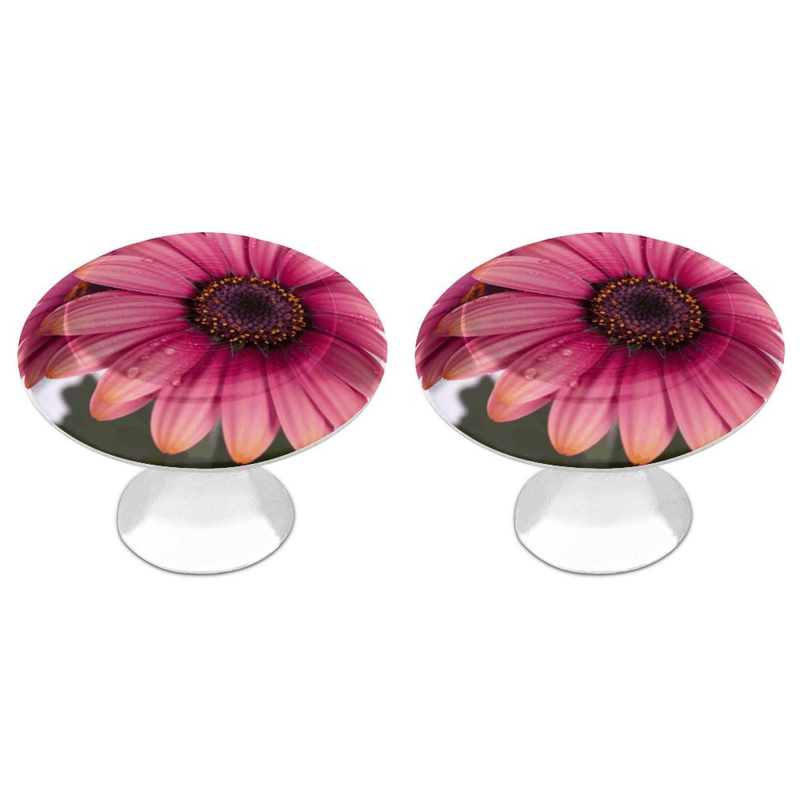 FekiLoot Pink Daisy Flower Cabinet Knob Kitchen Drawer Knob Stainless Steel Round Drawer Pulls Modern Cabinet Hardware Vintage Dresser Drawer for Kitchen Bathroom Closet Dresser Cabinets