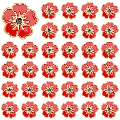DTOFOOT 36PCS Poppy Pins,Memorial Day Lapel Pins Remembrance Day Poppy Flower Brooch Pins Lest We Forget Enamel Pins Veterans Day Badge Patriotic Poppy Pin for Clothes Hat Bag Backpack Decoration