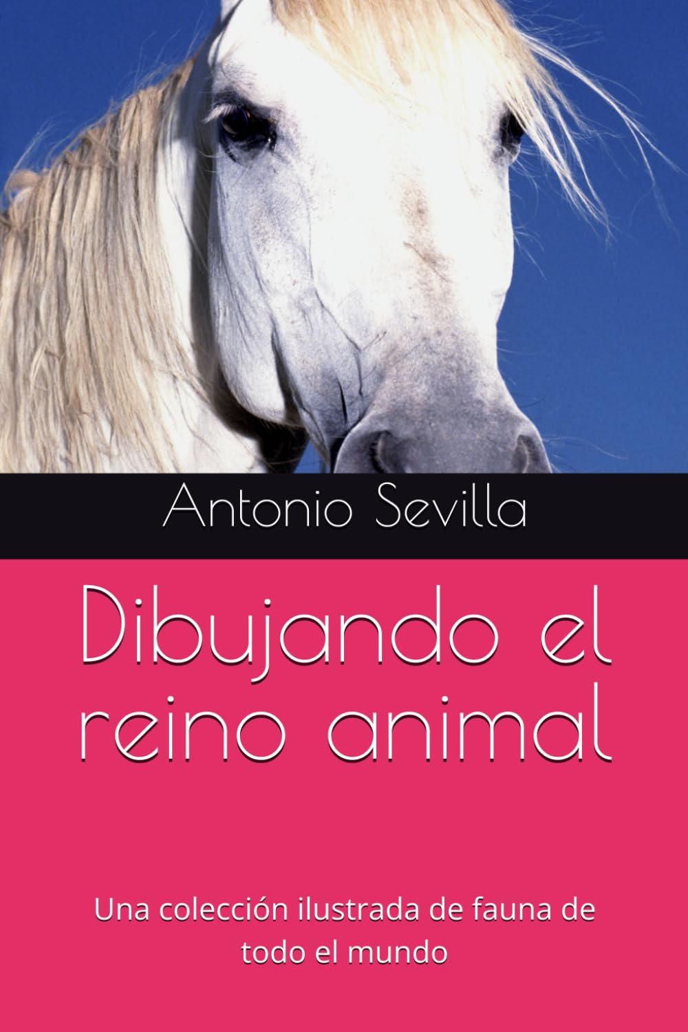 Dibujando el reino animal: Una colección ilustrada de fauna de todo el mundo