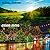 Dazzle Bright 2 Pack Total 400LED 132FT Warm White Christmas Solar String Outdoor Lights, Solar Powered with 8 Modes Waterproof Fairy Lights for Bedroom Patio Garden Tree Party Yard Decoration