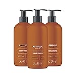 ATTITUDE Limited Edition Liquid Hand Soap, EWG Verified, Plant and Mineral-Based, Vegan Personal Care Products, Orange Cinnamon, 16 Fl Oz (Pack of 3)