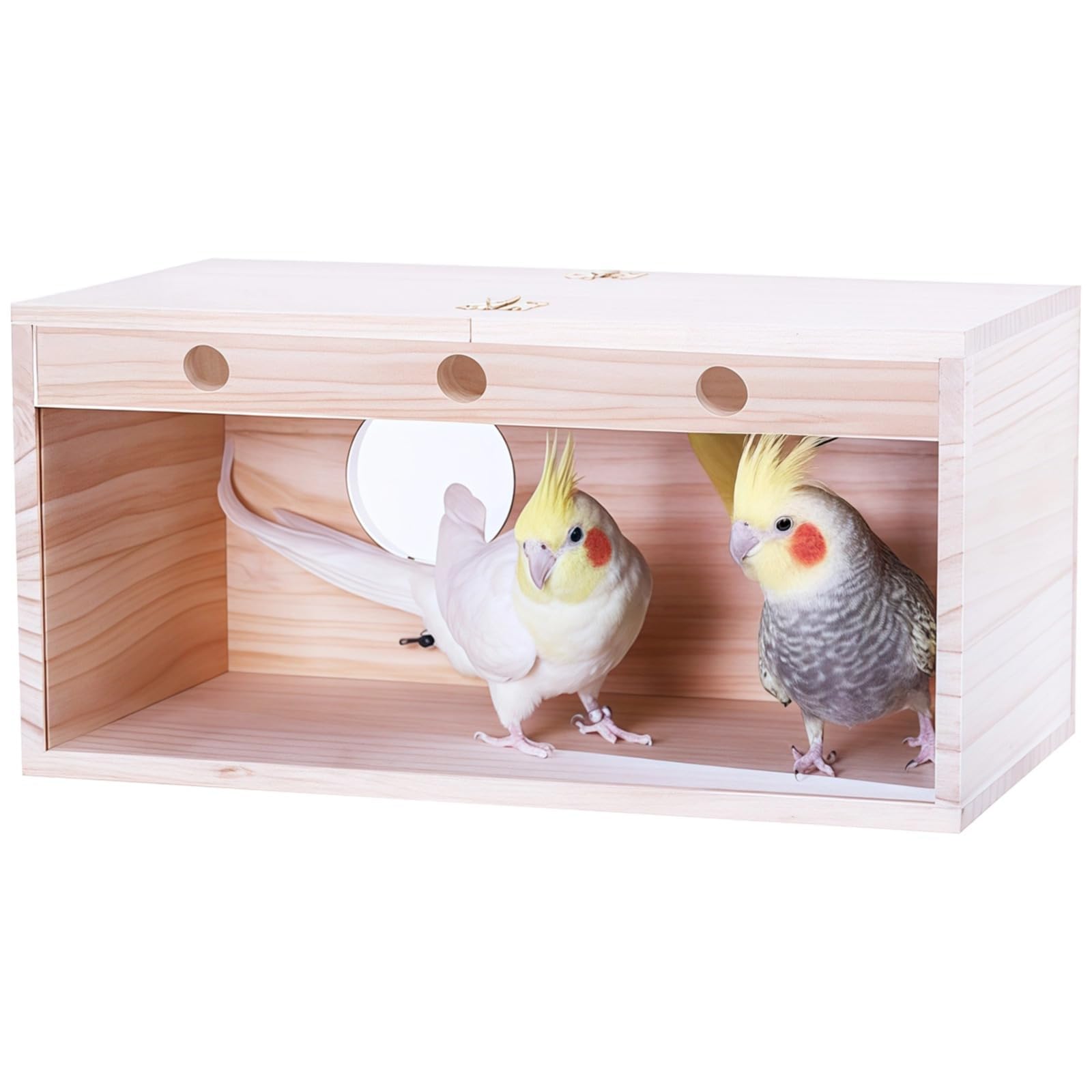 Grand nichoir transparent avec ouverture latérale, fabriqué en bois de pin durable, idéal pour les calopsittes et perruches, y compris le perchoir et les vis pour le renforcement, meilleur taux