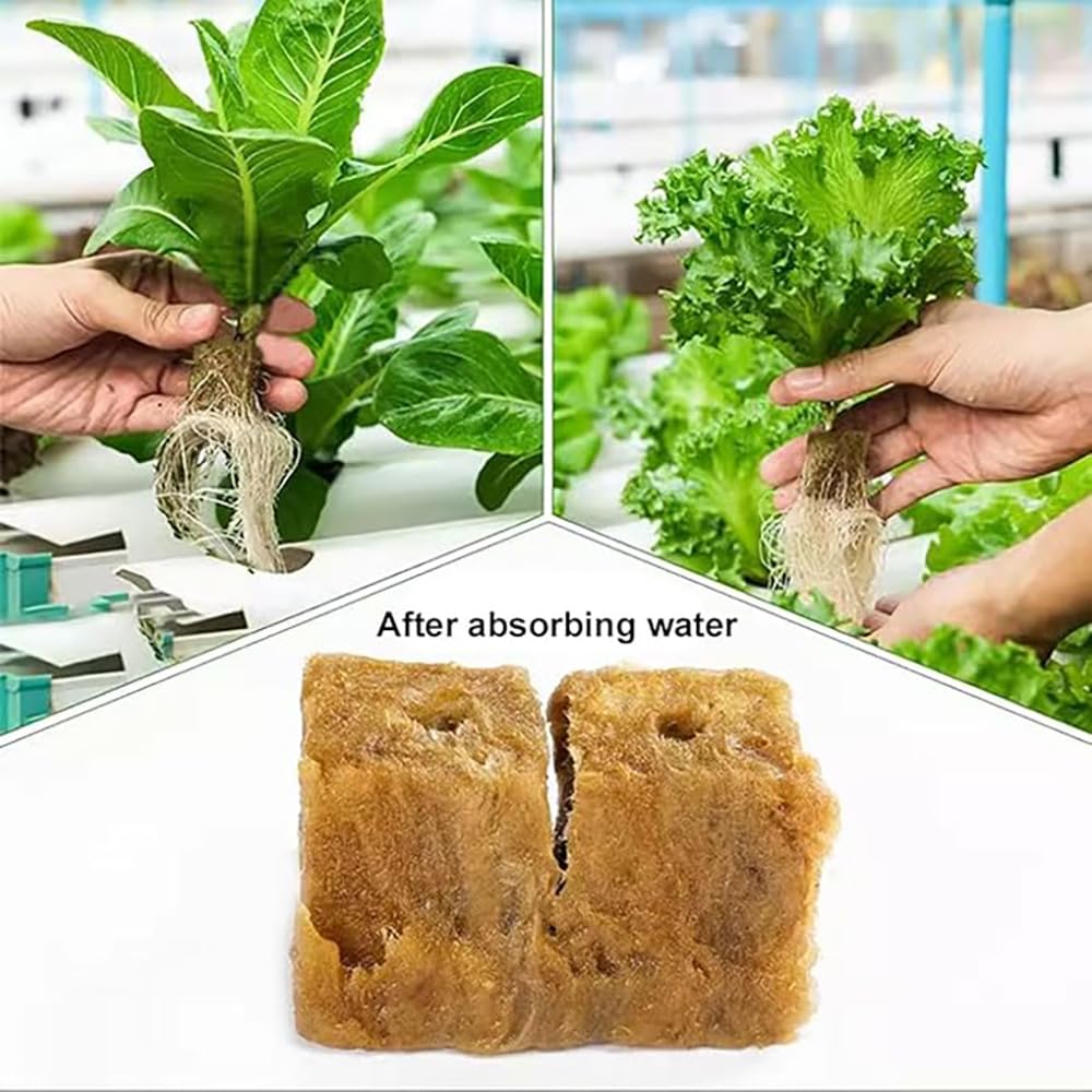 Rockwool Cubes, mata do uprawy, 200 sztuk, przyjazna dla środowiska, wełna kamienna, przepuszczalność powietrza, wełna kamienna, podłoże do sadzonek, rozmnażania roślin, 25 x 25 x 25 mm