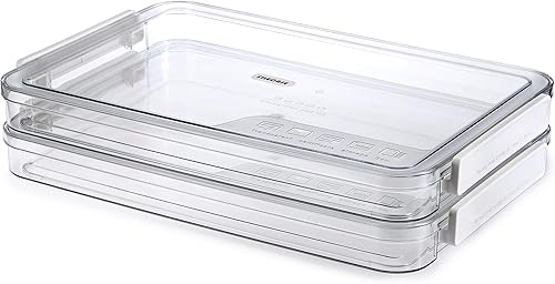 BTSKY Paquete de 2 cajas de almacenamiento apilables de plástico transparente, protector de archivos, estuche portátil para proyectos, soporte para