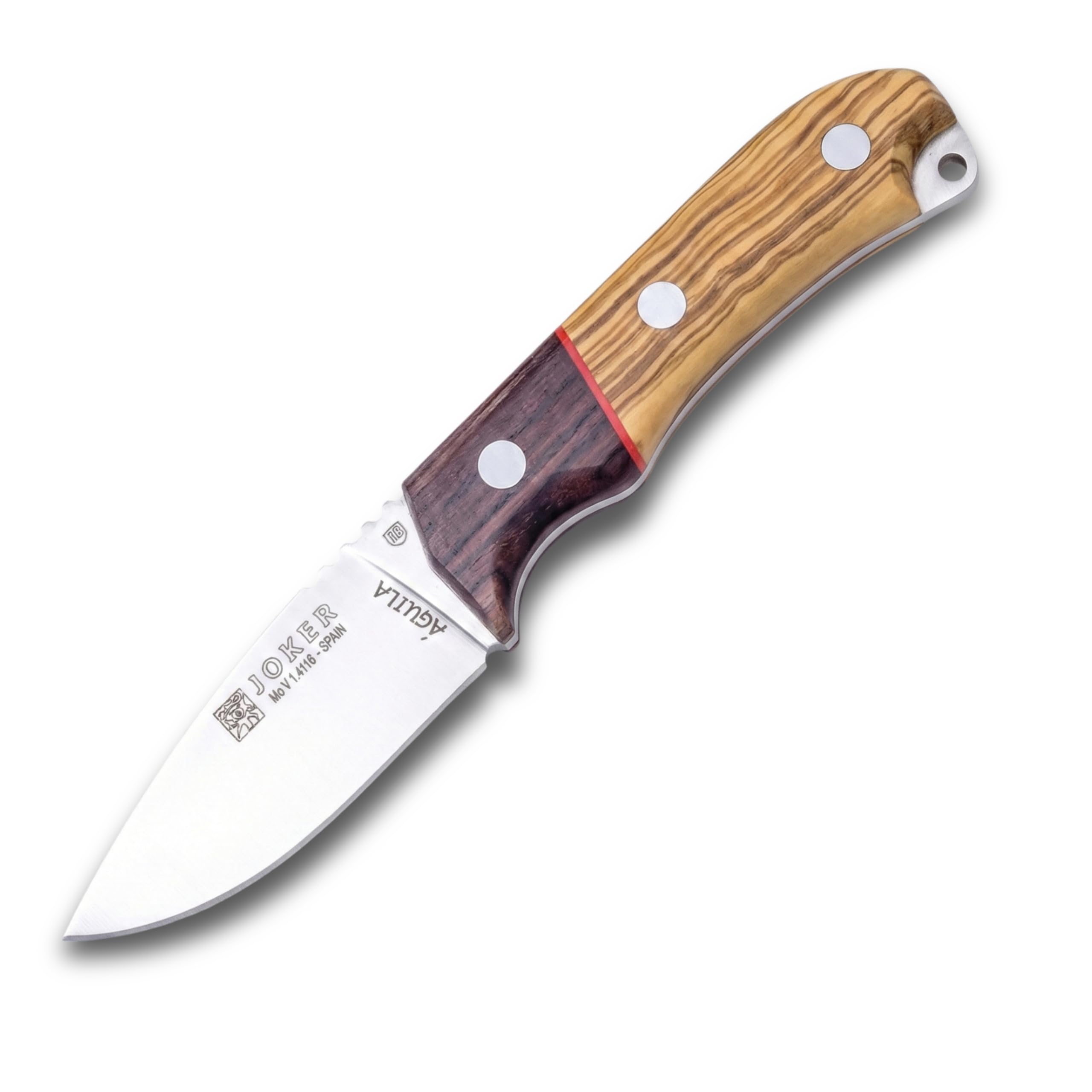 joker Coltello da caccia Aquila, con polsino in legno d'ulivo, lama MOVA 8,5 cm, include astuccio in pelle, palo santo ferrule, CO103 per attività di Pesca, l'Escursionismo, Il Campeggio