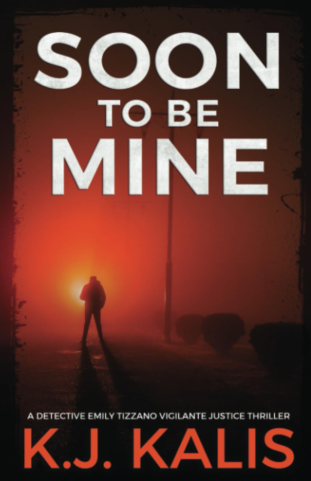 Soon to Be Mine: A Detective Emily Tizzano Vigilante Justice Thriller