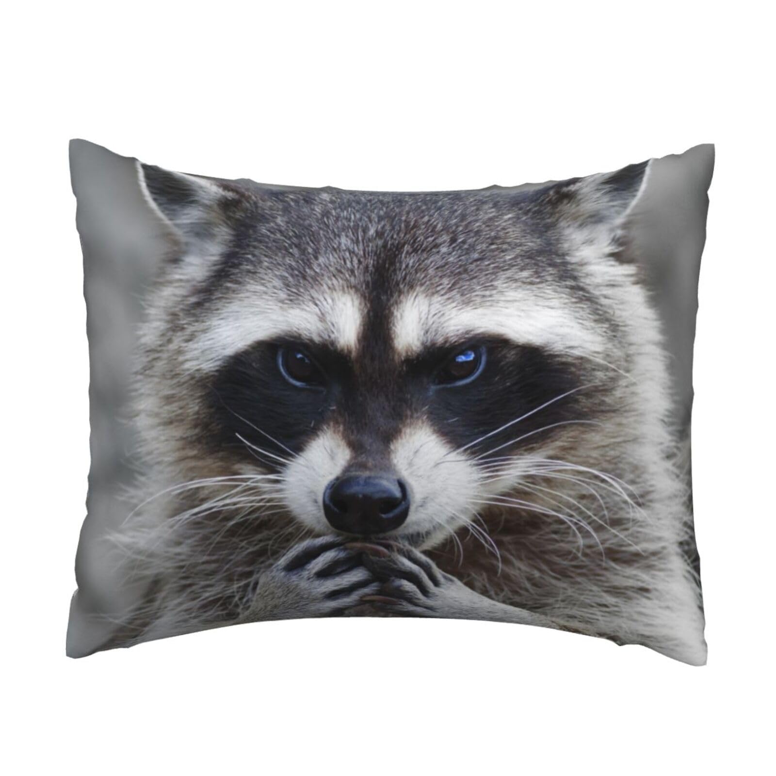 YFSGDLBN Cute Raccoon printed Pillow Case 20x26in decorative Cushion Cover pillowcase