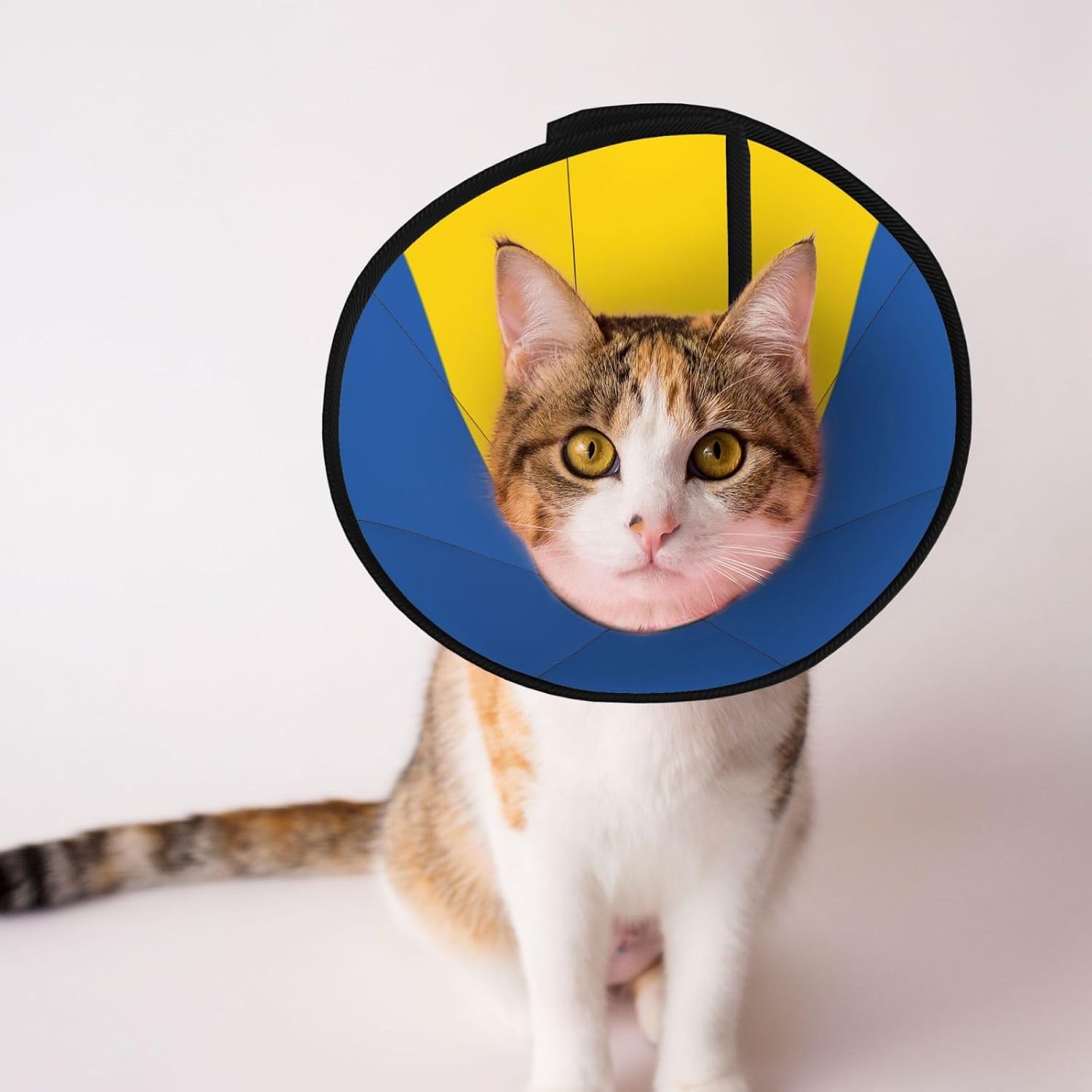 Custom Pet Cones - Unique Design Cat & Dog Cone, Collar for Post-Surgery Recovery, Adjustable Neck Flag of Ukraine Small