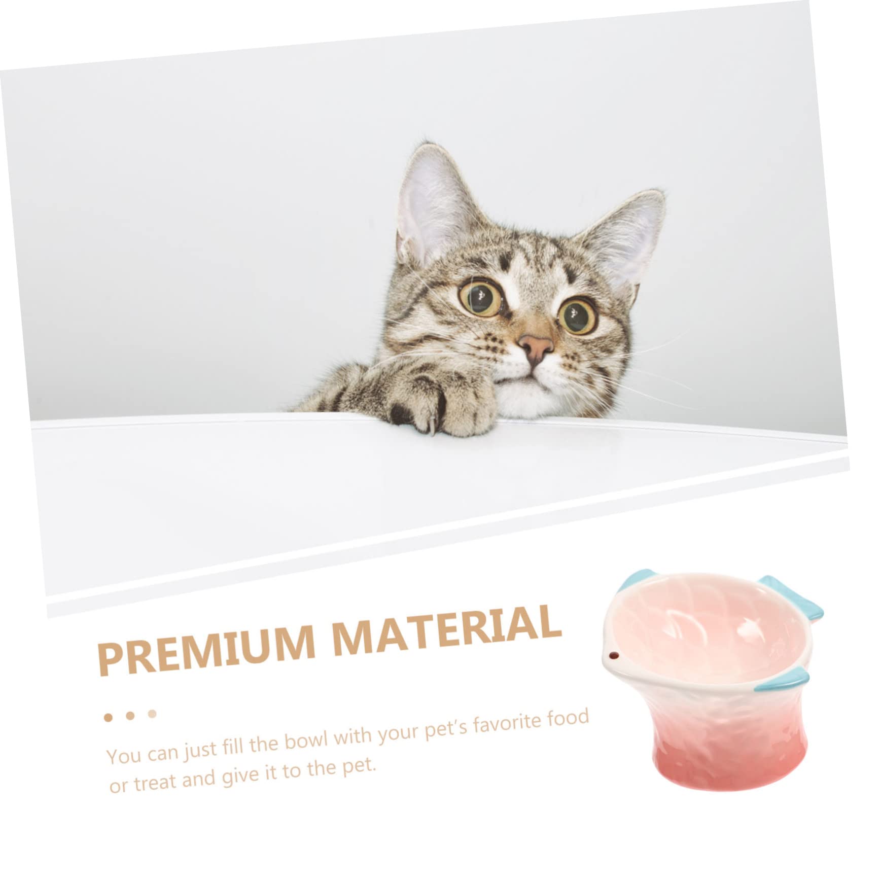 Piatto per Alimenti per Gatti Rosa in Ceramica, Basso e Decorativo | Adatto a Gatti e Cani, per Cibo e Snack, Servizio Prolungato, Stile Creativo a Forma di Pesce