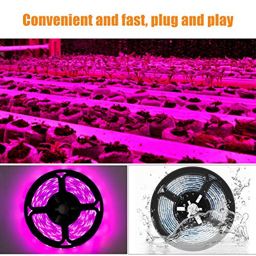 Calidaka 16038546364465 Plant Grow Light Strip 2835 Smd Ip66 Waterproof Full Spectrum Growing Lamp Plant Grow Led Light For Indoor Plants Greenhouse Aquarium Garden Flowers Veg Grow Light Usb Interface thumb #2