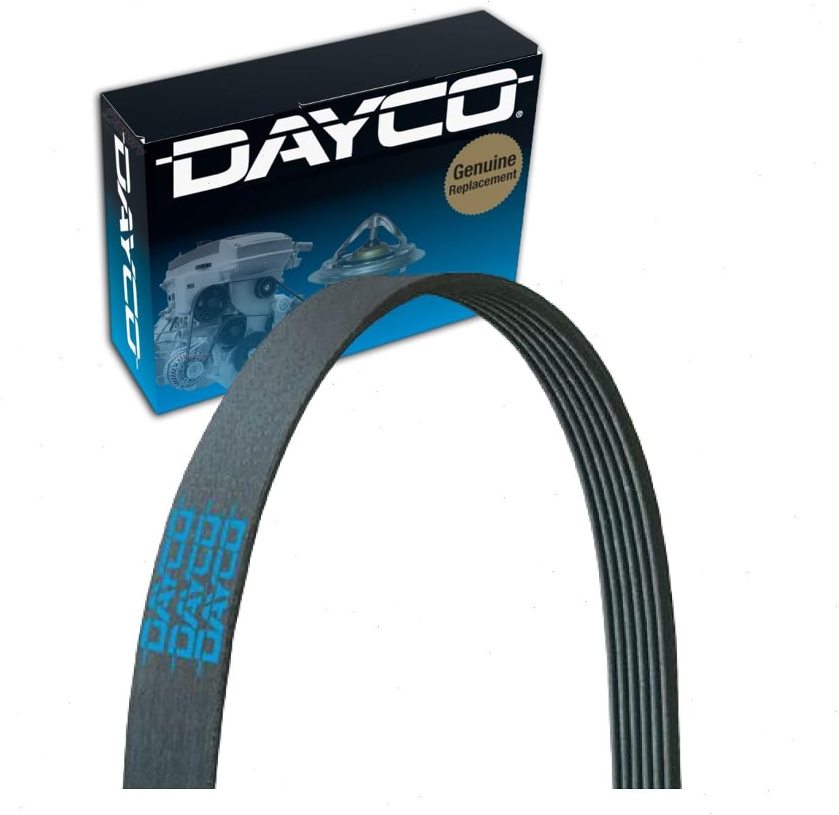 Dayco Main Drive Serpentine Belt compatible with Hyundai Santa Fe Sport 2.0L 2.4L L4 2017-2018