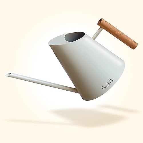 AnaVeRa Regadera para plantas de interior, pequeña lata de agua de acero inoxidable con boquilla larga recta, regadera con mango de madera para casa