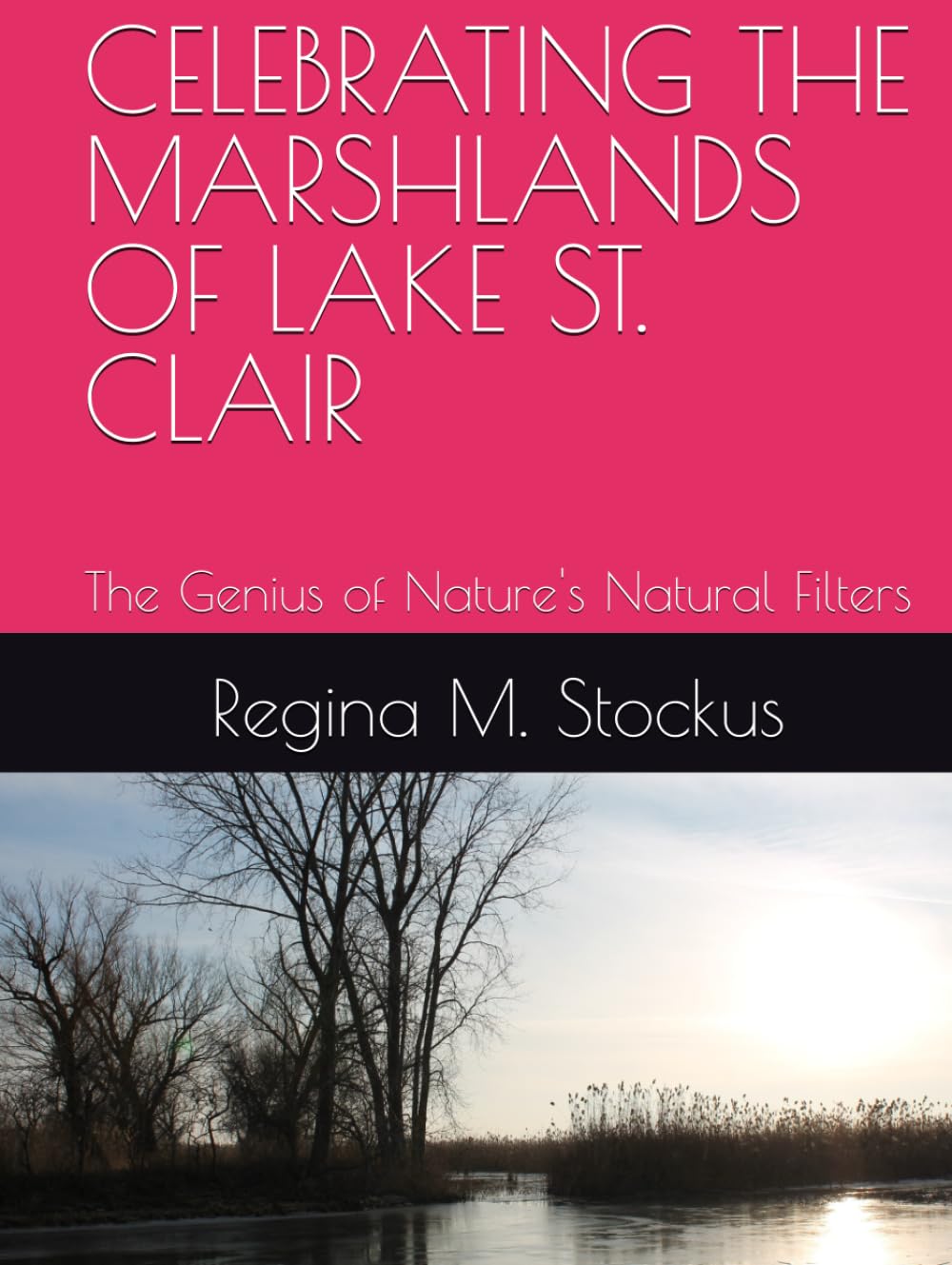CELEBRATING THE MARSHLANDS OF LAKE ST. CLAIR: The Genius of Nature's Natural Filters
